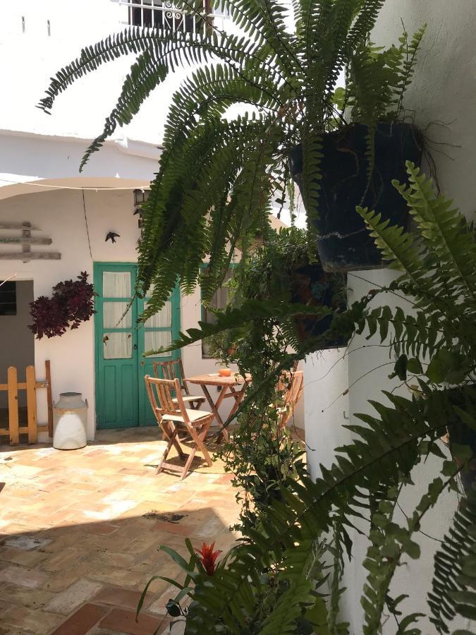 Casa Aguamarina Apartment Vejer de la Frontera Ngoại thất bức ảnh